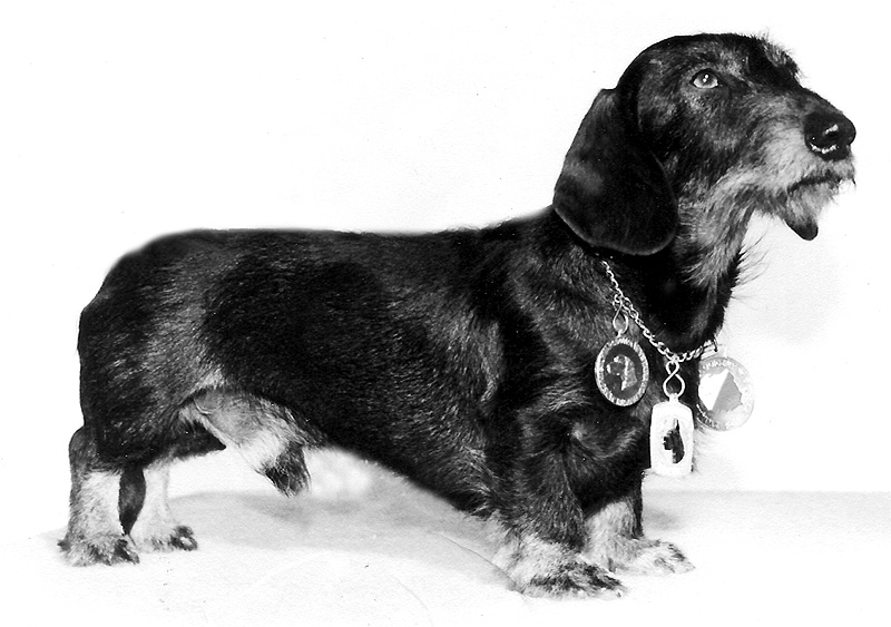 CH. Battermann von reitzenstein