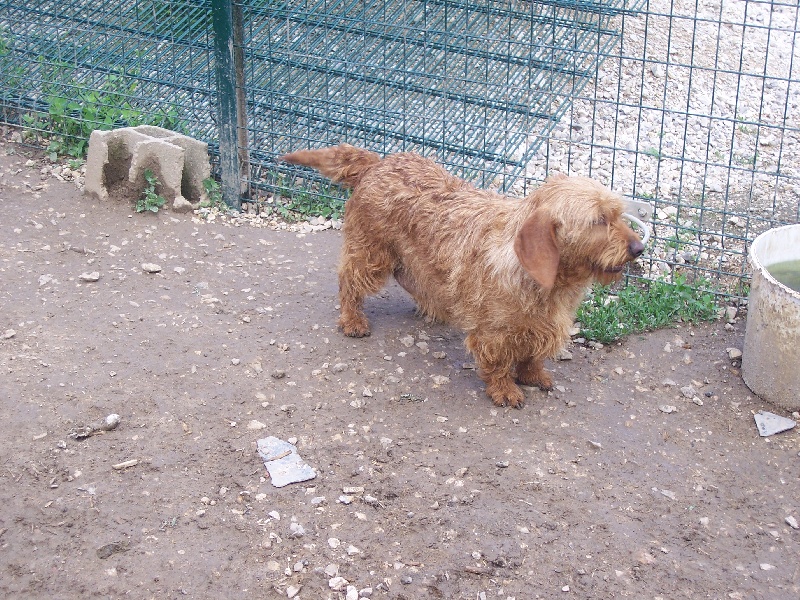 Publication : de la vallée de St Evroult 