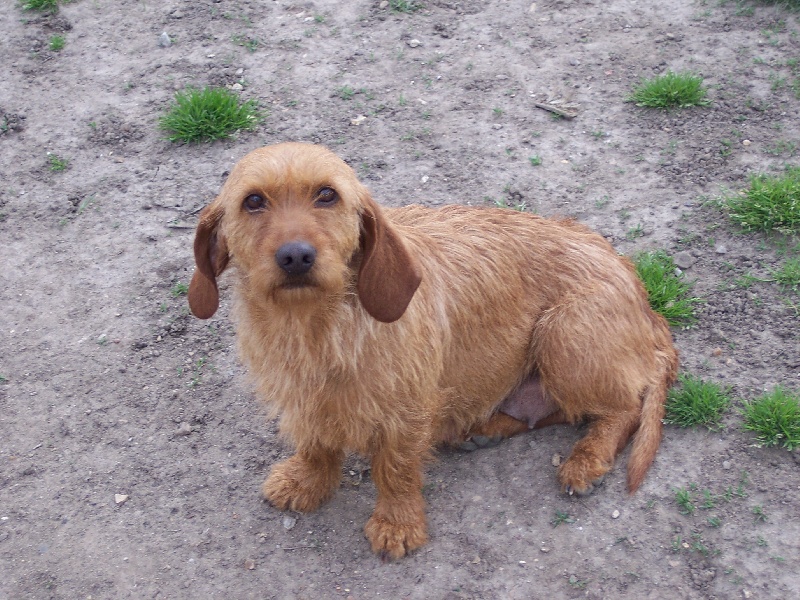 Publication : de la vallée de St Evroult 