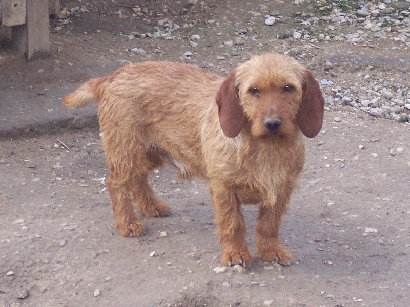 Publication : de la vallée de St Evroult 