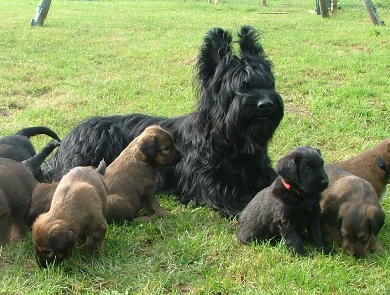 Publication : de la ferme des Mottes