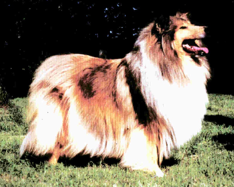 Nathe blonde of Penny Park