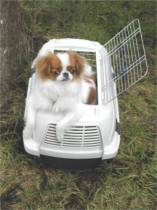 Aoki caroline's mooshies de L'Arc d'Ashérat