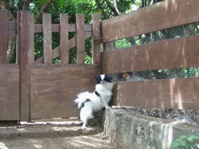 Vatsuhiko vent d'automne de L'Arc d'Ashérat