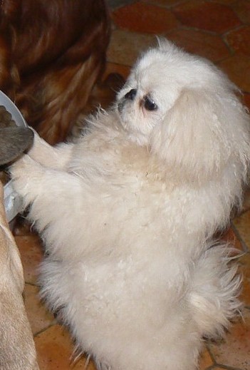 Publication : du Domaine les Beaurepaire Auteur : DERKSEMA MICHELE