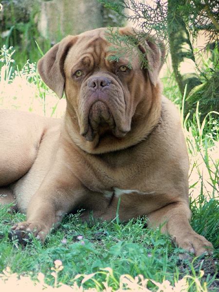 Publication : of Mac Paradise Auteur : Mac Paradise