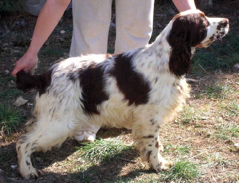 Publication : Last April