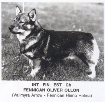 CH. fennican Oliver ollon