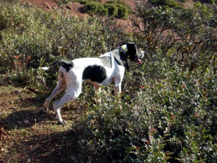 Publication : du royaume de la Gambra 