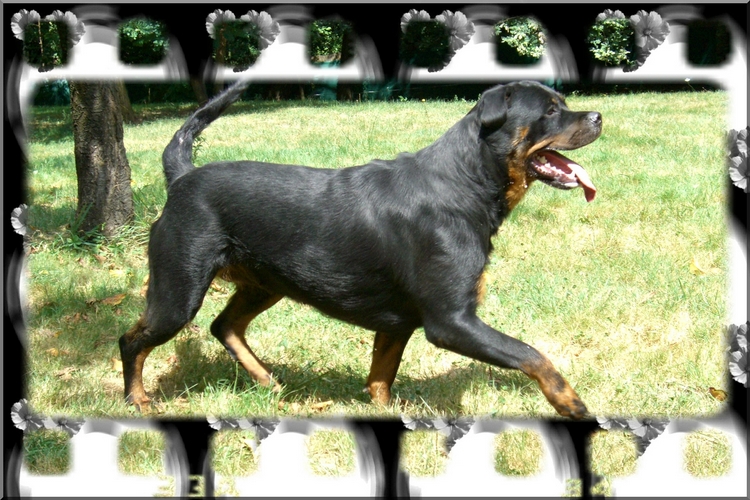 Baya des Rotts de la Baronnie