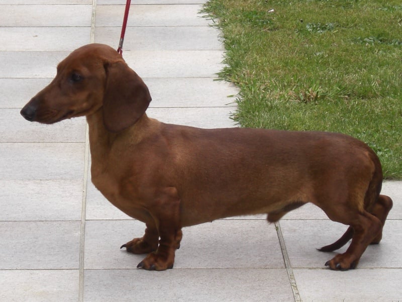 Publication : du domaine de luard 