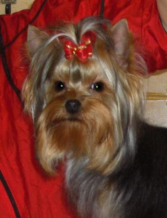 Chicago lover du domaine du lac Grangent