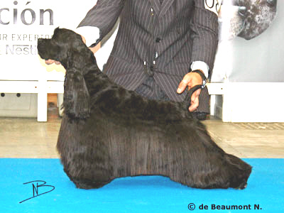 Publication : de Valdeliendo 