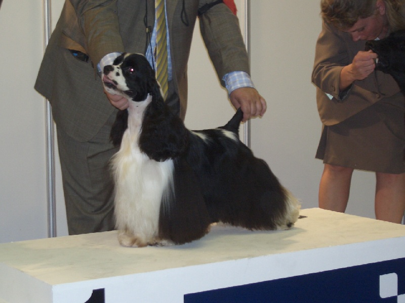 Publication : de Valdeliendo 