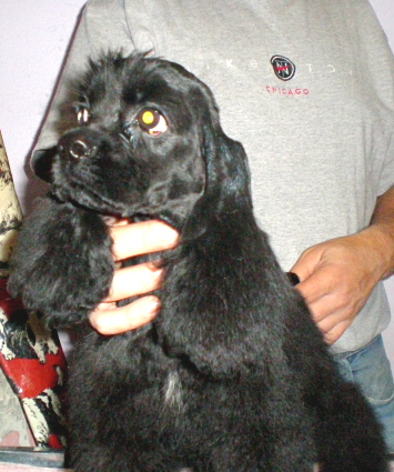 Publication : de Valdeliendo 