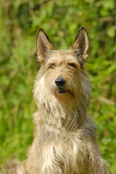 Rixie de la Ferme de l'Autan