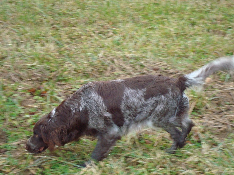 Publication : de la rivière du Nant Auteur : dumoulin jean claude
