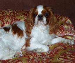 Publication : des Verchères de Montdidier Auteur : Kings de Montdidier