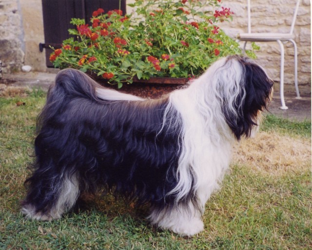 Publication : de Clair Obscur Auteur : C.Leproux