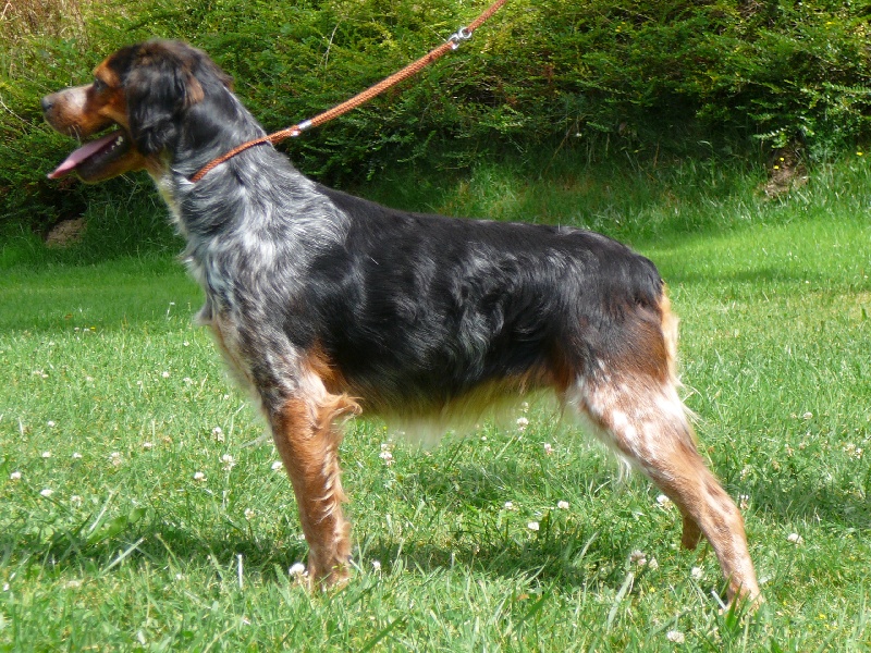 Publication : des Hautes Clauzes Auteur : Guy RAFFIER