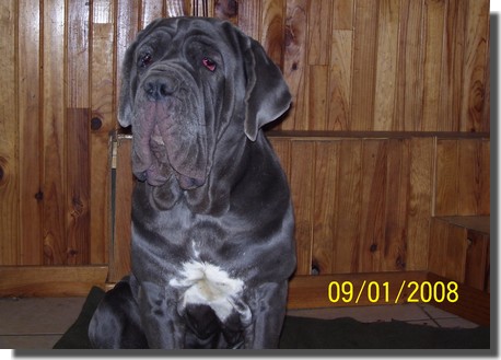 Publication : des Colosses du Vivarais 