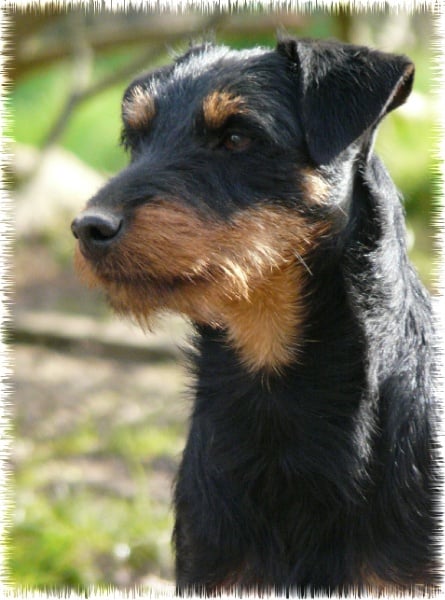 Publication : des plaines de Valinor 