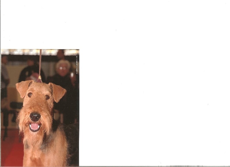 Touraine du val d'uzelle