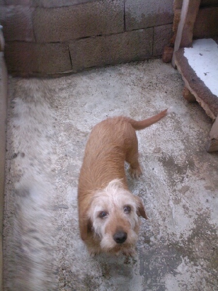 Océanne du puech des garennes