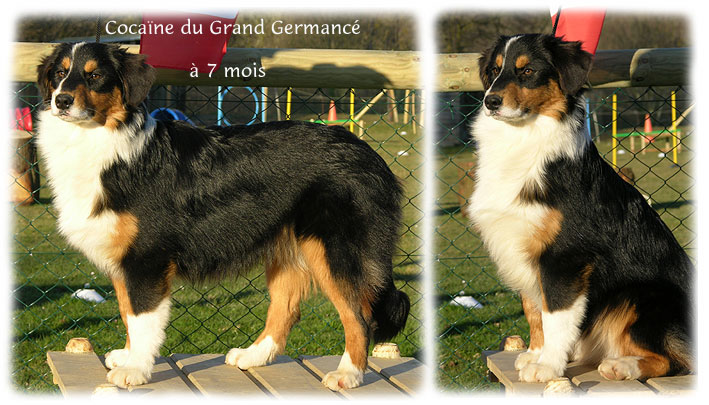 Cocaïne du Grand Germancé