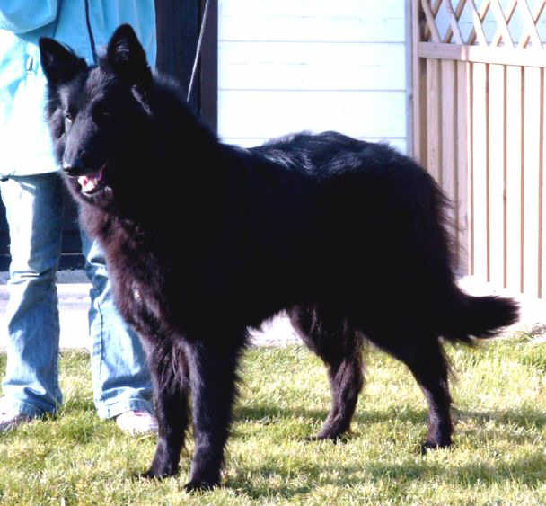 Publication : de la Ferme Farouche 