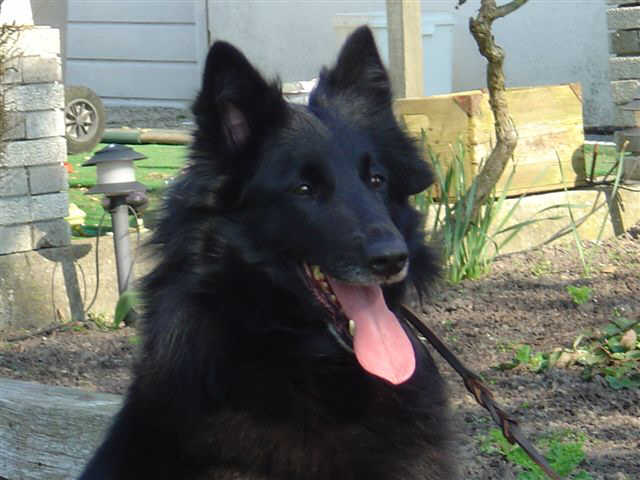 Publication : de la Ferme Farouche 