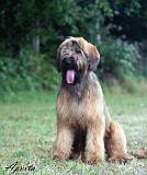 Publication : a Veiga do Pomariño Auteur : Aperta