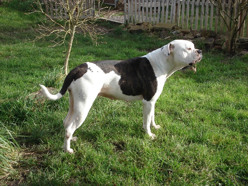 Publication : (Sans Affixe) Auteur : Me Florence grandet