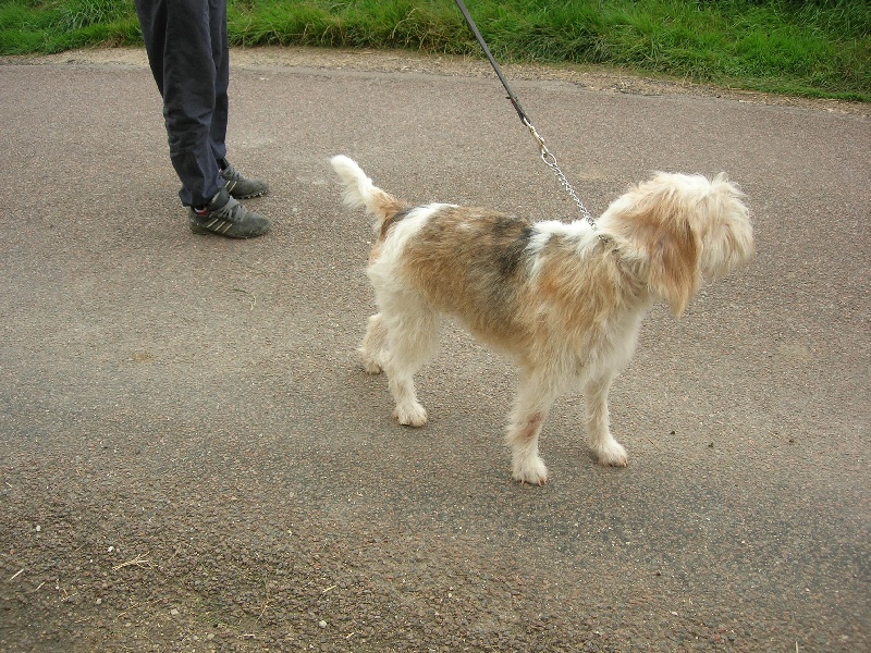 Publication : du sentier d'Aimeron Auteur : ELEVAGE DU SENTIER D'AIMERON