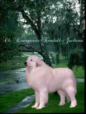 rivergroves Kendall-jackson