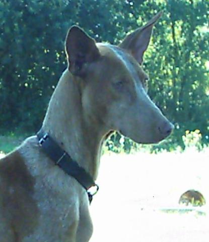 Publication : des Côteaux de Soubirous 