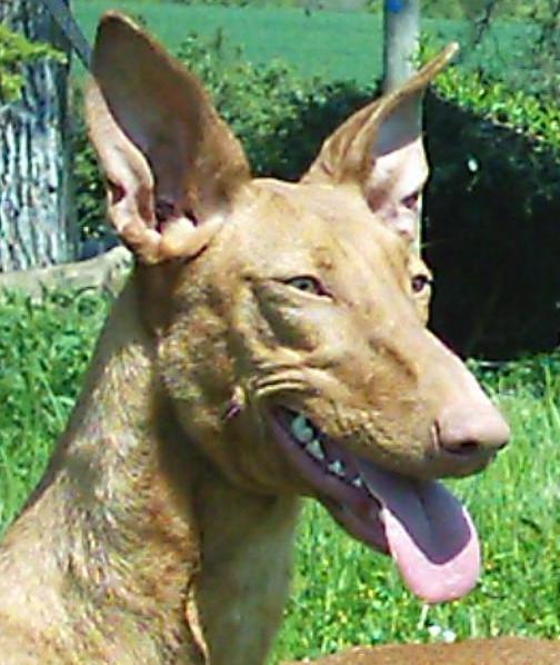 Publication : des Côteaux de Soubirous 