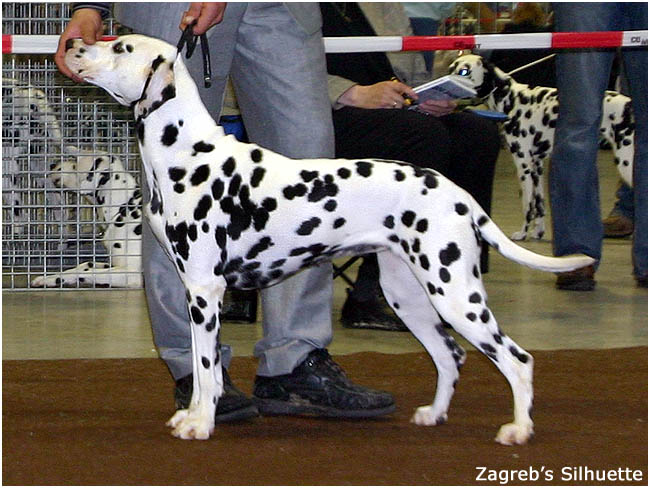 Publication : du domaine de Syrtos Auteur : therese nowak