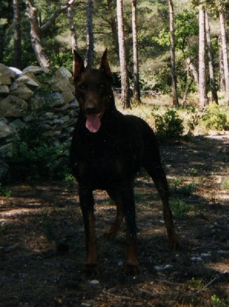 Mafalda des sentiers battus