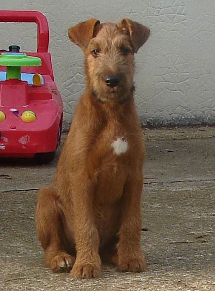 Publication : Hasbaya 