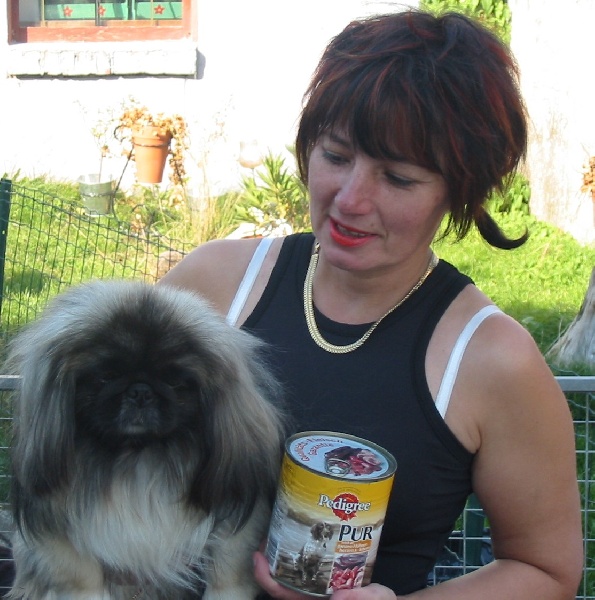 Twister one more night