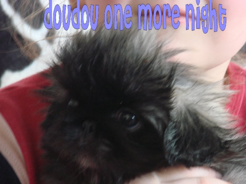 Publication : one more night Auteur : stephanie