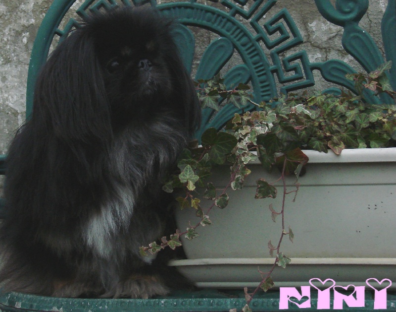 Publication : one more night Auteur : stephanie