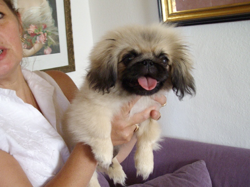 Publication : one more night Auteur : stephanie