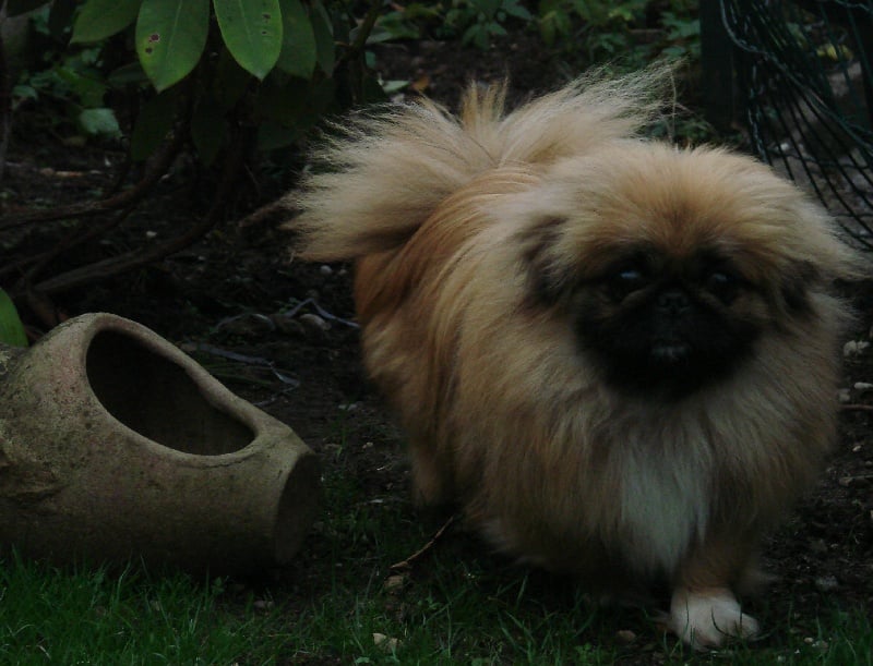 Publication : one more night 