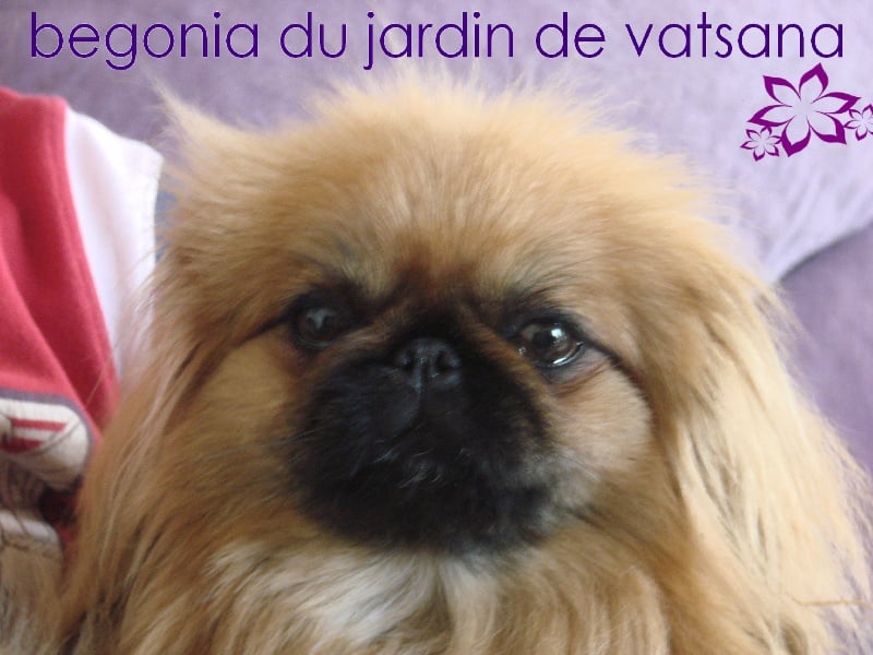 Publication : one more night 