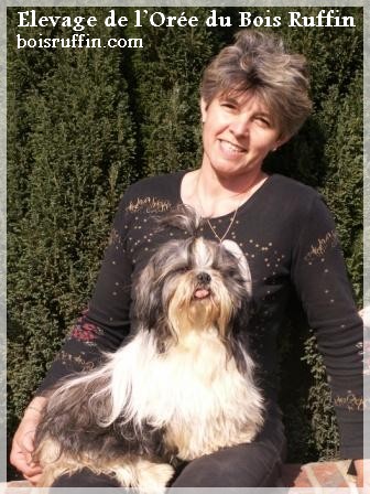 Tom pouce De la butte domfrontaise