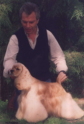 CH. Robin de la gran aldea