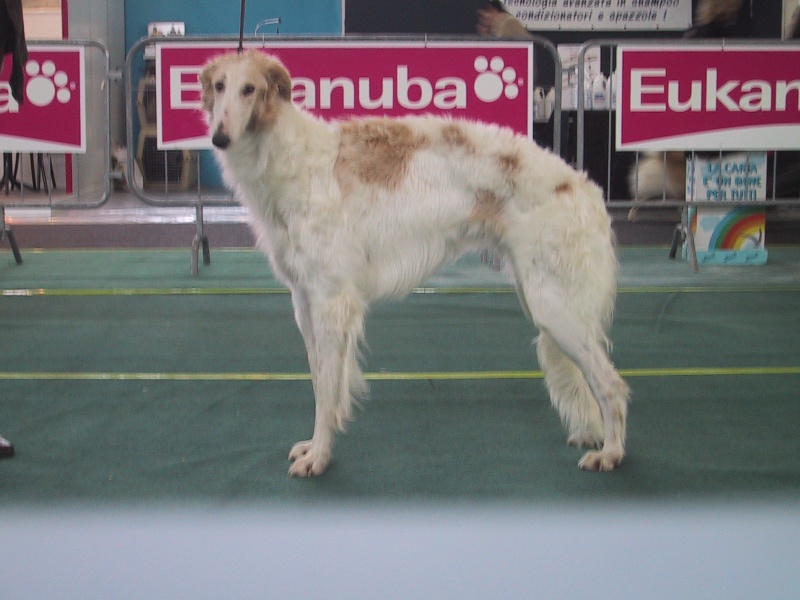 Publication : des princes de Kazan 