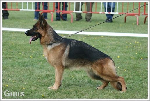 Publication : vom haus Flicka Auteur : JACQUES